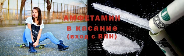 амф Вяземский