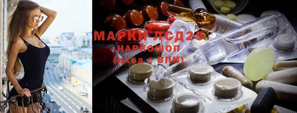 амф Вяземский