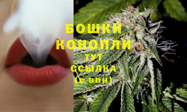 амф Вяземский