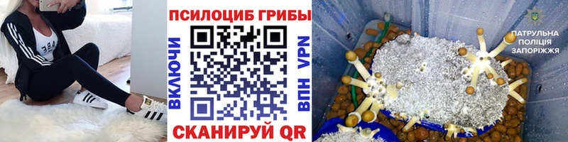 наркошоп  Первомайск  Галлюциногенные грибы GOLDEN TEACHER 